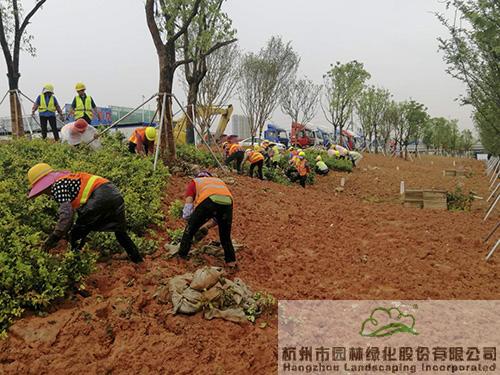 尊龙凯时人生就是搏(中国区)官方网站