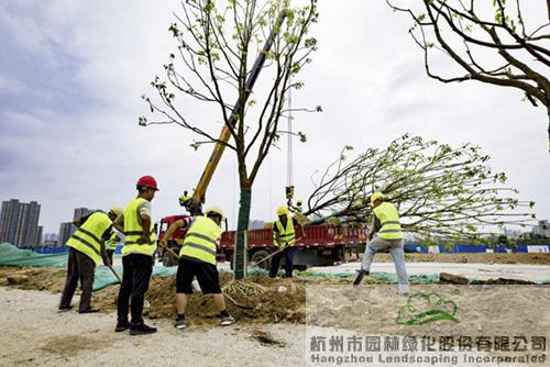 尊龙凯时人生就是搏(中国区)官方网站