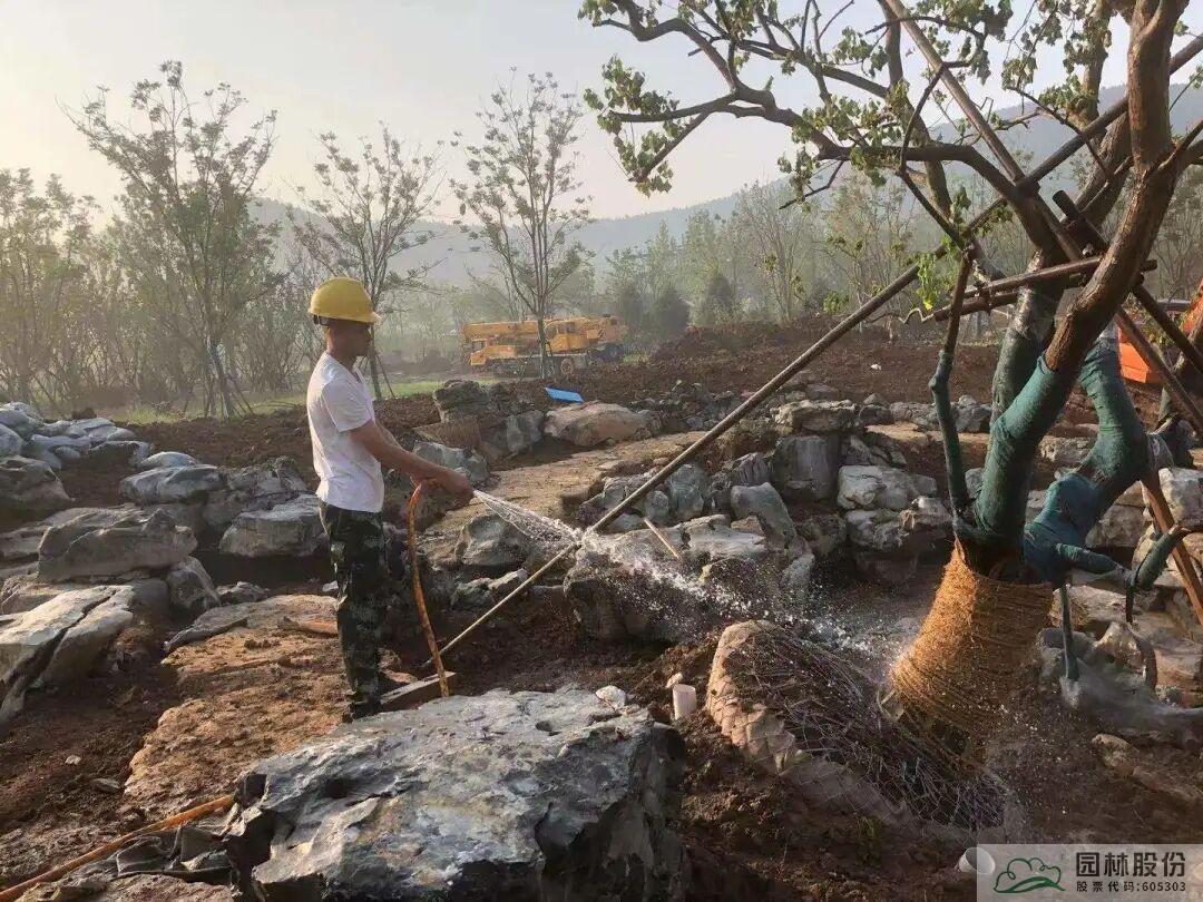 尊龙凯时人生就是搏(中国区)官方网站