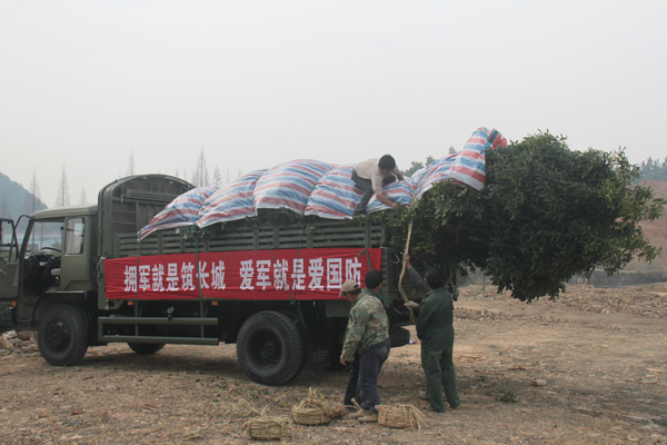 尊龙凯时人生就是搏(中国区)官方网站